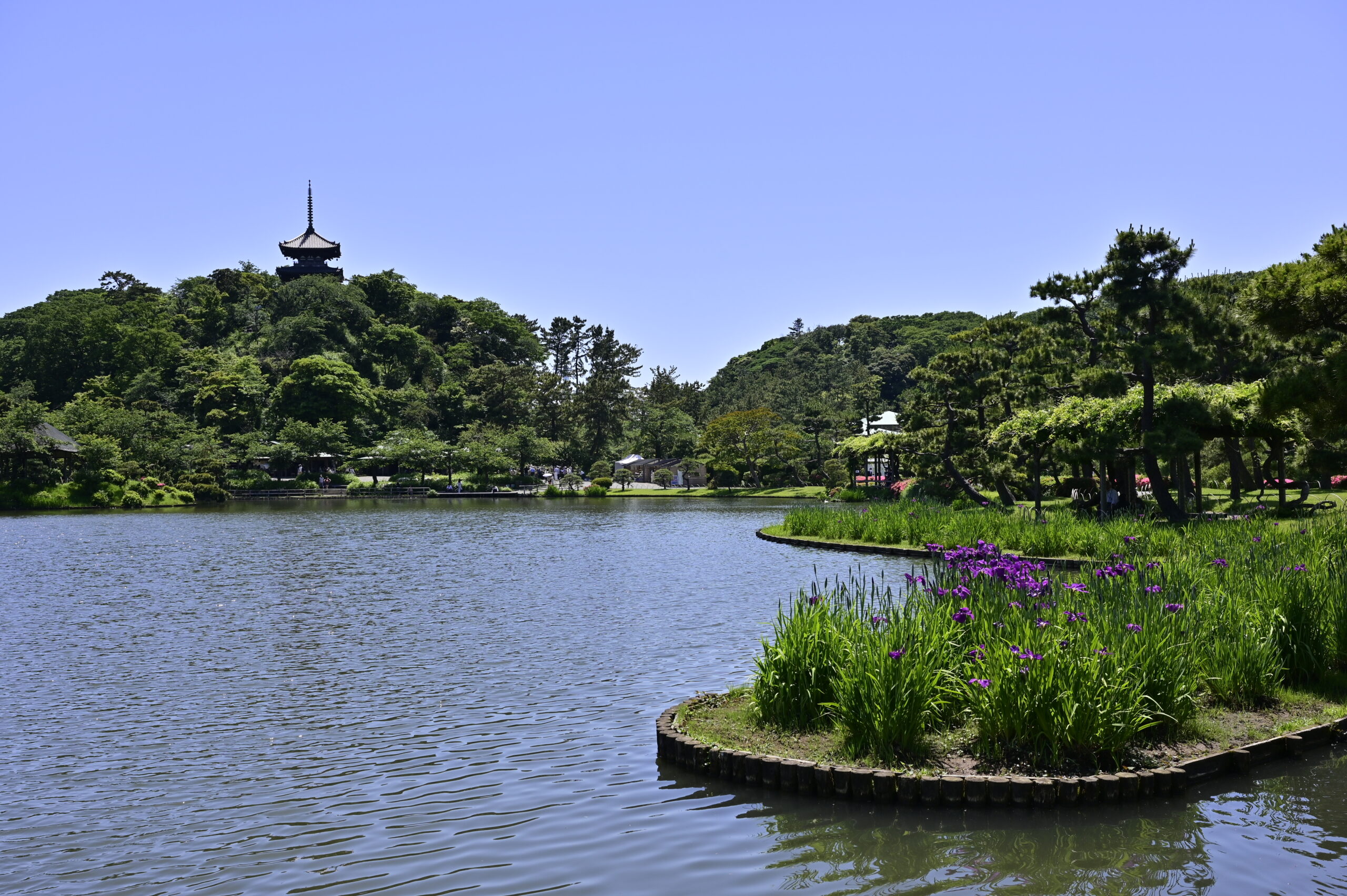 2022/05/29 三渓園 / Sankeien Garden, Kanagawa