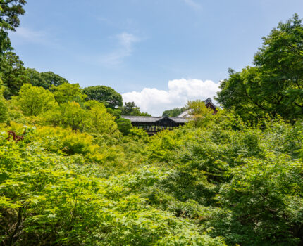 2022/06/24 東福寺 / Toufukuji-Temple, Kyoto