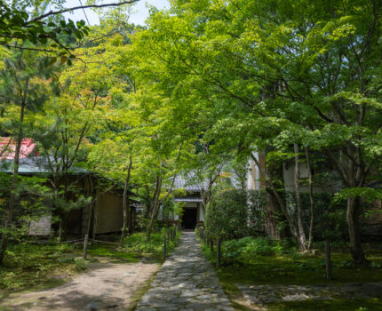 2022/06/24 蓮華寺 / Rengeji-Temple, Kyoto