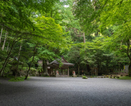 2022/06/24 貴船神社 奥宮 / Kifune-Shrine Okumiya, Kyoto