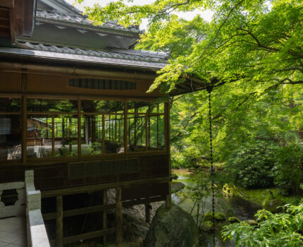 2022/06/25 宝厳院 / Hogon-in, Kyoto