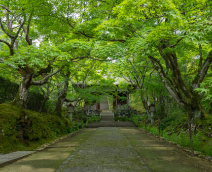 2022/06/25 常寂光寺 / Jojakkoji-Temple, Kyoto