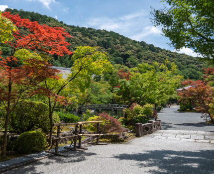 2022/06/26 永観堂 / Eikando-Temple, Kyoto