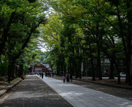 2022/10/16 大國魂神社 / Ookunitama Jinjya-Shrine, Tokyo