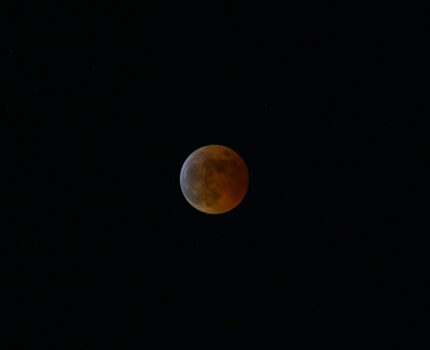 2022/11/08 皆既月食 / total lunar eclipse, Tokyo