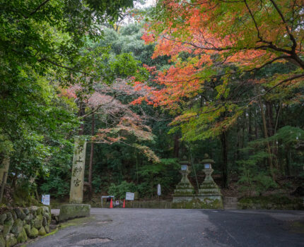 2022/11/26 石上神宮 / Isonokami Jingu-Shrine, Nara