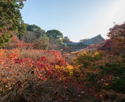 2022/11/27 東福寺 / Tofukuji-Temple, Kyoto