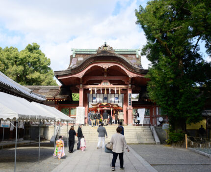 2022/11/27 石清水八幡宮 / Iwashimizu Hachimangu-Shrine, Kyoto