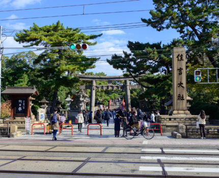 2022/11/27 摂津国 一之宮 住吉大社 / Sumiyoshi Taisha-Shrine, Osaka