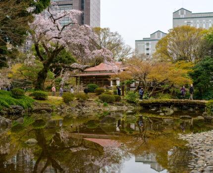 2023/03/21 後楽園 / Kourakuen , Tokyo