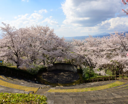 2023/03/28 笛吹市八代 ふるさと公園 / Fuefuki city, Yamanashi