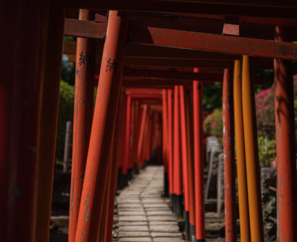 2023/04/04 乙女稲荷神社 / Otome Inari Jinjya-Shrine, Tokyo