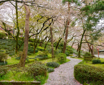 2023/04/06 兼六園 / Kenrokuen garden, Ishikawa