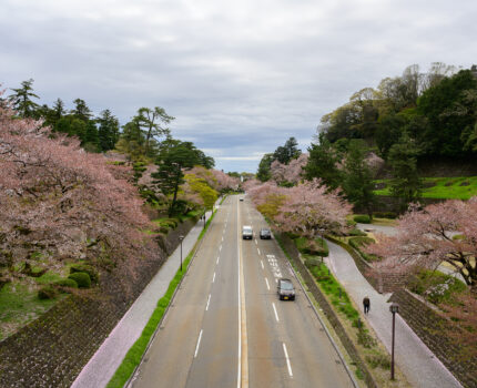 2023/04/06 金沢城 / Kanazawa Castle, Ishikawa