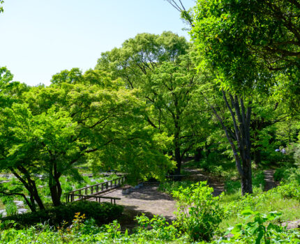 2023/05/02 昭和記念公園 / Showa Kinen Park, Tokyo