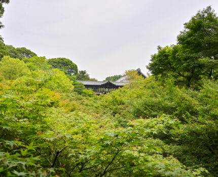 2023/06/18 東福寺 / Tofukuji-Temple, Kyoto