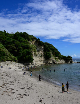 2023/08/26 かつうら海中公園 / Katsuura Under Sea Park, Chiba