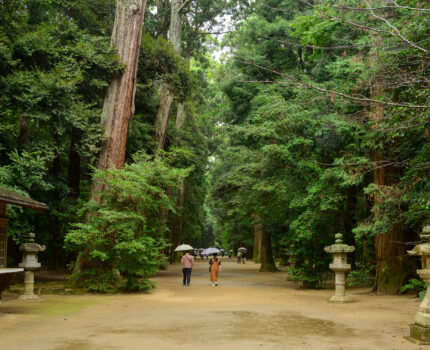 2023/09/30 鹿島神宮 奥参道 / Kashima Jingu-Shrine Okusnado, Ibaraki