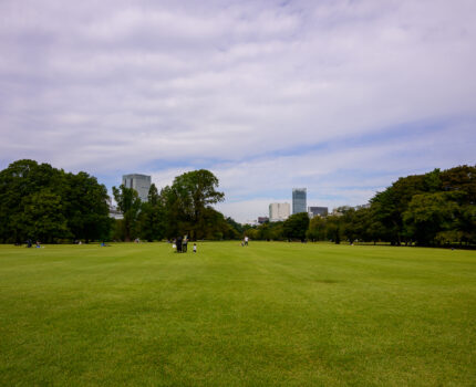 2023/10/14 新宿御苑 / Shinjyuku gyoen garden, Tokyo