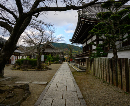 2024/12/01 橘寺 / Tachibanadera-Temple, Nara