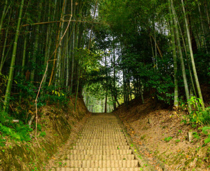 2024/12/01 酒船石・亀石 / Sakafuneishi Sakaishi, Nara