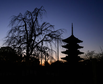 2023/12/01 東寺 / Toji-Temple, Kyoto