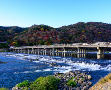 2023/12/02 嵐山 / Arashiyama, Kyoto