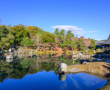 2023/12/02 天龍寺 / Tenryu-ji, Kyoto