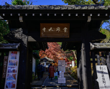 2023/12/02 常寂光寺 / Jojjakko-ji, Kyoto