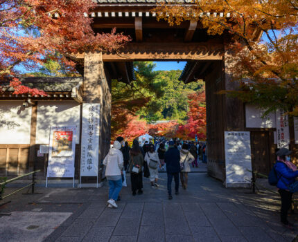 2023/12/02 永観堂 / Eikando, Kyoto