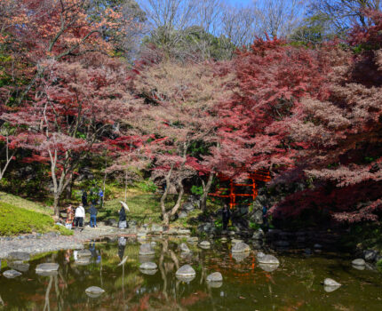 2023/12/10 小石川後楽園 / Koishikawa-Kourakuen, Tokyo