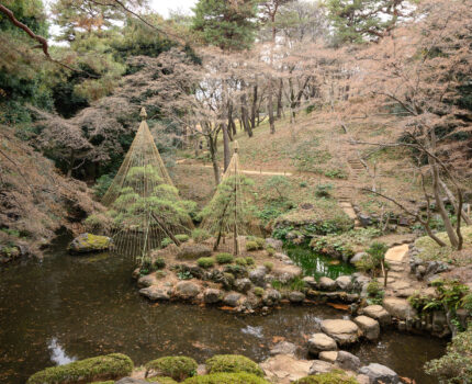 2024/01/28 殿ヶ谷戸庭園 / Tonogaya Garden, Tokyo