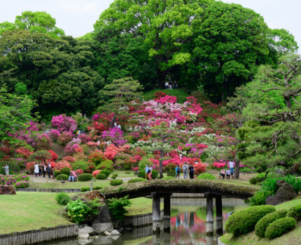 2024/04/27 六義園 / Rikugien, Tokyo