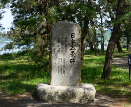 2024/05/18 天橋立 松並木 / Amanohashidate Pine Tree Line, Kyoto