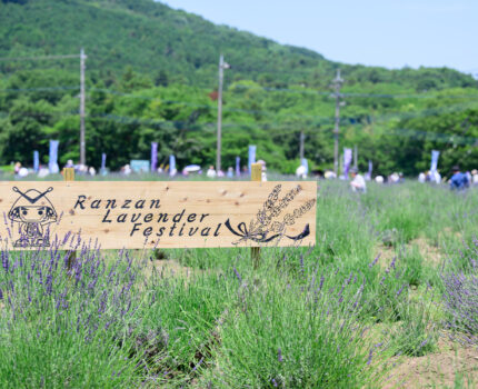 2024/06/15 嵐山ラベンダーまつり / Ranzan Lavender Festival, Saitama