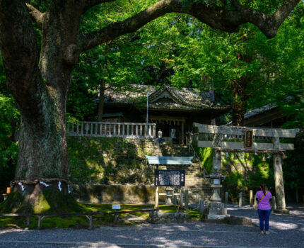 2024/09/07 遠江国 一之宮 事任八幡宮 / Kotonomama Hchimangu-Shrine, Shizuoka